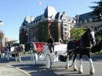 EMPRESS HOTEL前を走る馬車、撮影場所：ヴィクトリア、カナダ(VICTORIA)